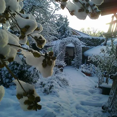 Haus Rebstock 아파트 *