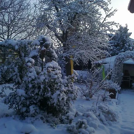 Haus Rebstock 아파트 *