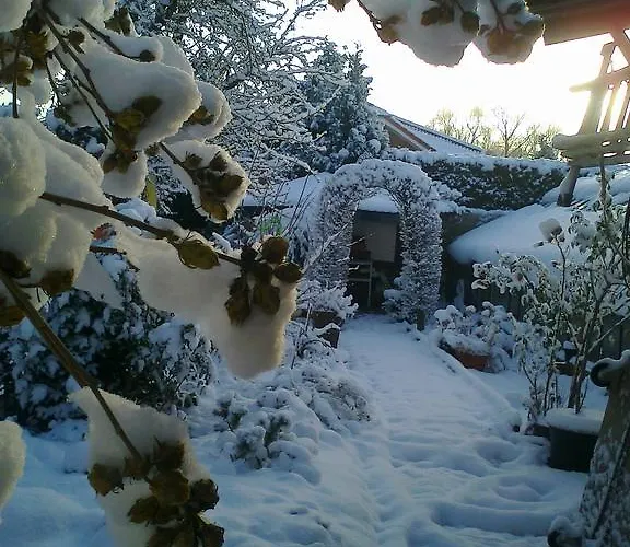 Haus Rebstock 公寓 *