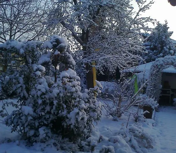 Haus Rebstock 公寓 *